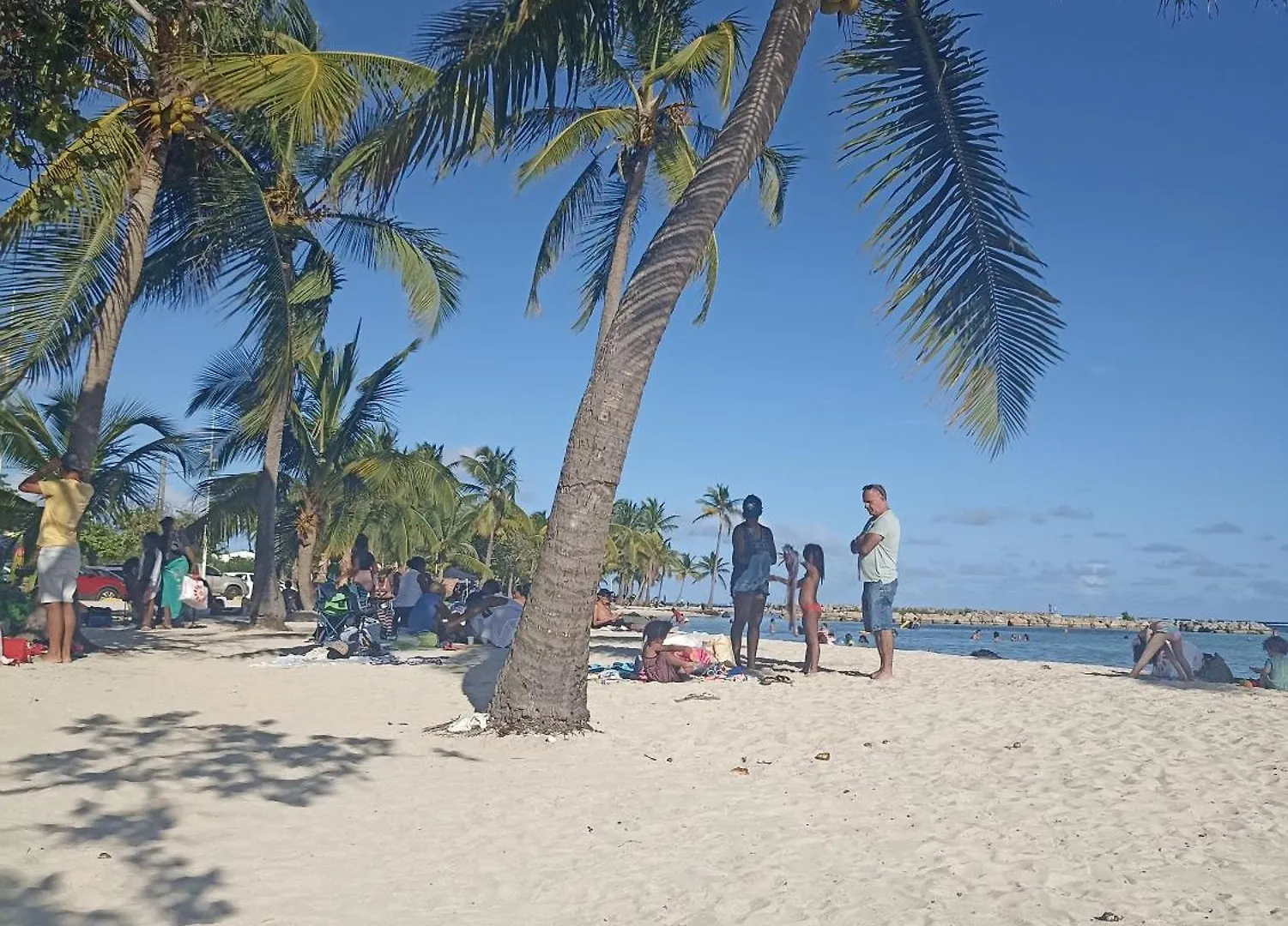 Guest house La Canopee Enchantee, Chambres D'Hotes, Piscine, Proche Aeroport, Gare Maritime Les Abymes Guadeloupe